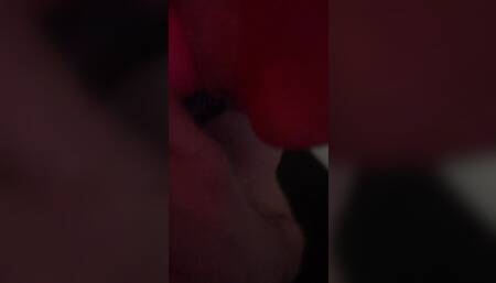 Sucking two huge dildos