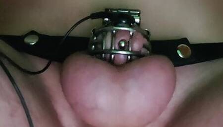 Estim Chastity with Anal Plug