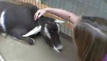Teen does some solo heavy petting