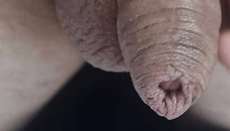 Micropenis piss juice