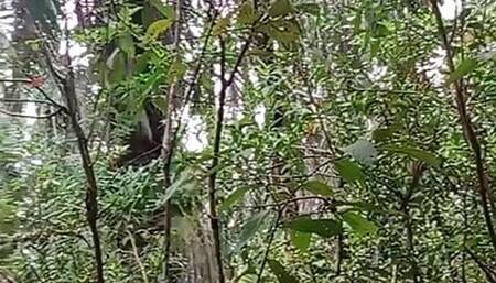 Masturbation orgasm squirt piss