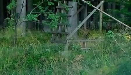 Hunter's Stand
