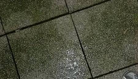 Evening cum