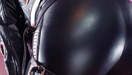 Strap-on POV from Leather Fetish Mistress Arya Grander. Dirty talking blonde pin up MILF with big dildo.