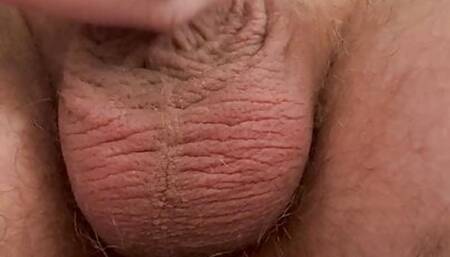 Soft to hard cock and balls