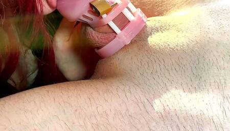 Blowjob for caged husband! Cuckold won't be free!