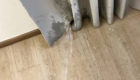 Pissing on my curtains