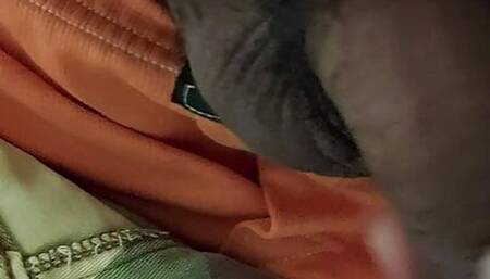 show my cock ,what do you think?