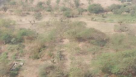 Pumping boy hot rooms cleaning blowjob