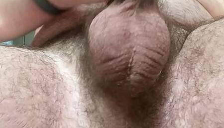 BearChaser