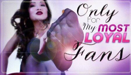 Only For My Most Loyal Fans (WMV)
