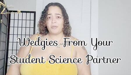 Wedgie pov taboo classmate 720