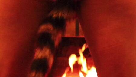 Do you like my tail?