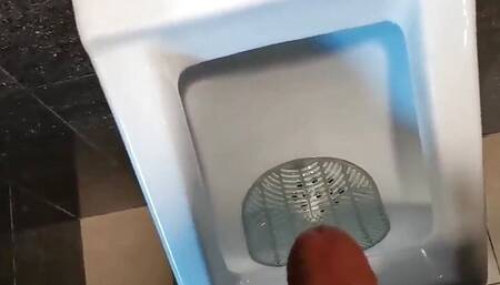 Play with my dick in airport WC