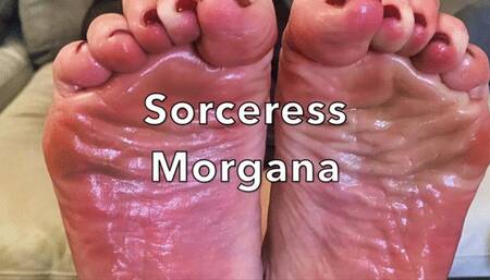 Morgana Wrapped and Tickled