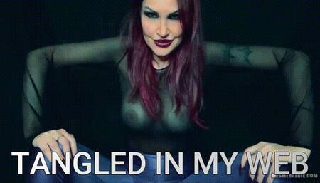 TANGLED IN MY WEB