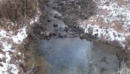 BBW Table Humping Topless at the Park!