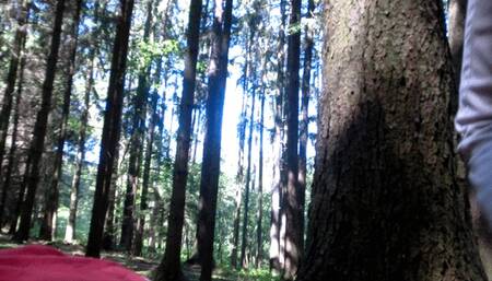 2nd Session in the woods - Clip 4