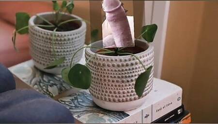 Different flower pots