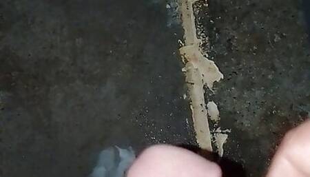 Sex