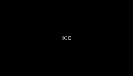 ICE Meesters en haar geblinddoekte slaaf