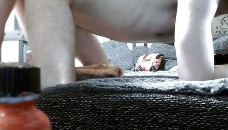 huge dick puding cumming ass