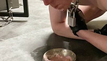 Gay Chastity Slave eats from a dog bowl
