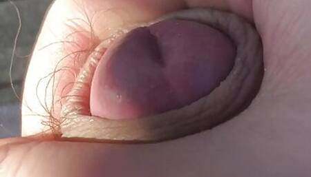 Little dick