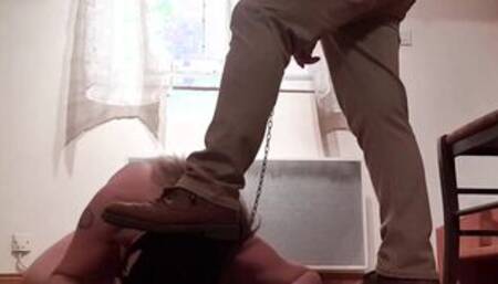 Dressage sub F masturbation humiliation bj and uro