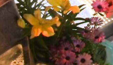 Haley Paige Starts Out With A Vibrator And Ends Up With A Thick Dicked Stud