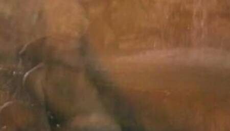 Vulgar Dark Skinned Island Women Getting Fuck Public