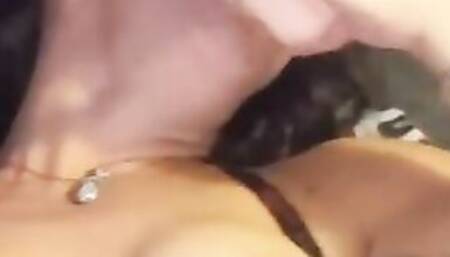 Onecumkitty