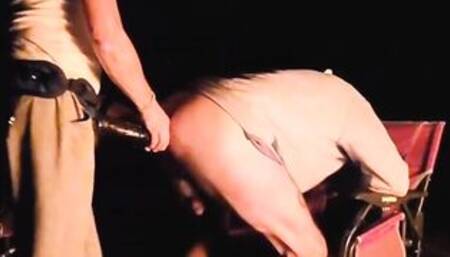 Fire side Boned Miss A wakes Joey with her XL