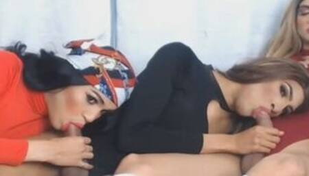 Three Horny Shemales Sucking Their Cock