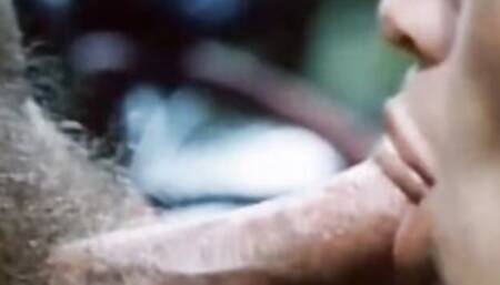 Marilyn Chambers Retro Banged! Clip