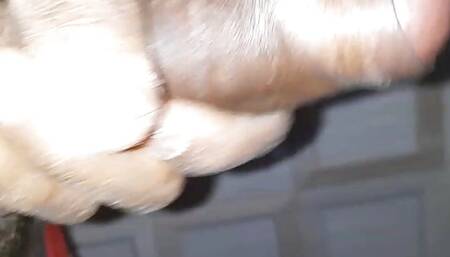 Bihari boy sat inch Lund lumba Lund ka pani jhar diya