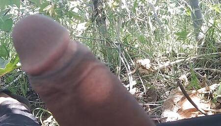 Indian desi Boy Farm Sex Gay