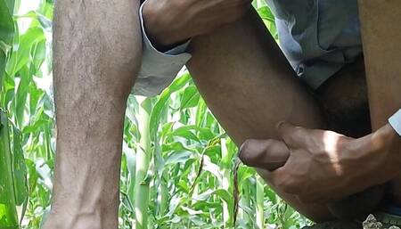 A Indian big cock masturbating in a maize field