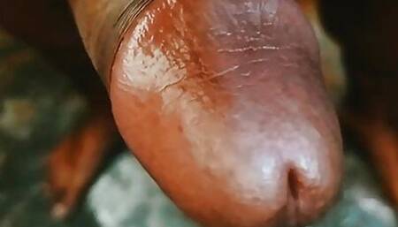 Indian cock open view