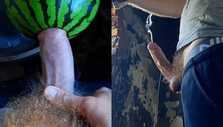 Arrogant male TimonRDD hard fucks a watermelon with a big hairy dick