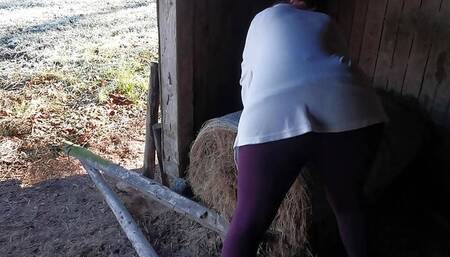 Ass spanking in barn