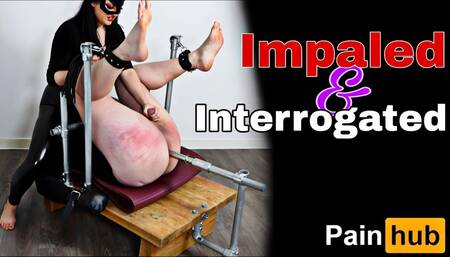 Femdom Bondage Bench Torture Flogging Asshook Metal Dildo Furniture Whipping Punishment BDSM Discipline CBT Spanking FLR