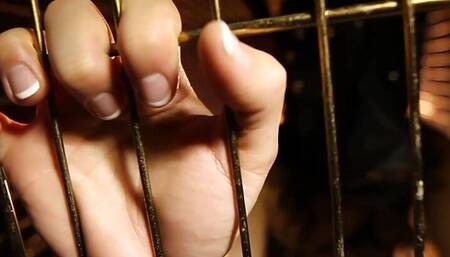 Dani Daniels A Trapped Bitch Inside A Dog Cage