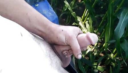 Messy nut out in a meadow