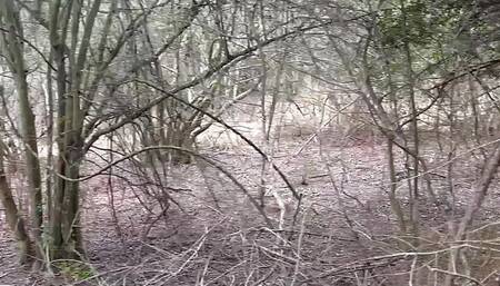Jerking A THICK BBC In The Woods