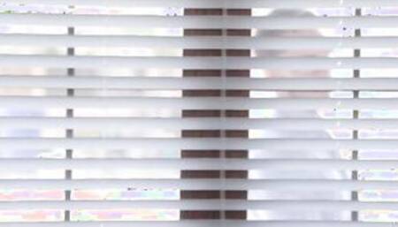 Make Me An Give - S32:E16