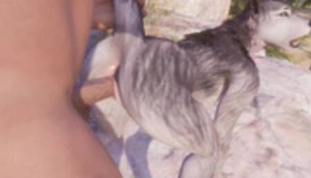 Wild Life / Wolf Furrie Girl Porn