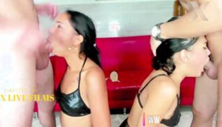 Kinky hungry bitches squeeze dicks begging for cum