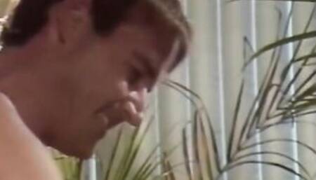 Porn Festival into USA!!! - vol. 03 - (The Golden Ages X)