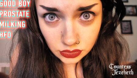 Good Boy Prostate Milking